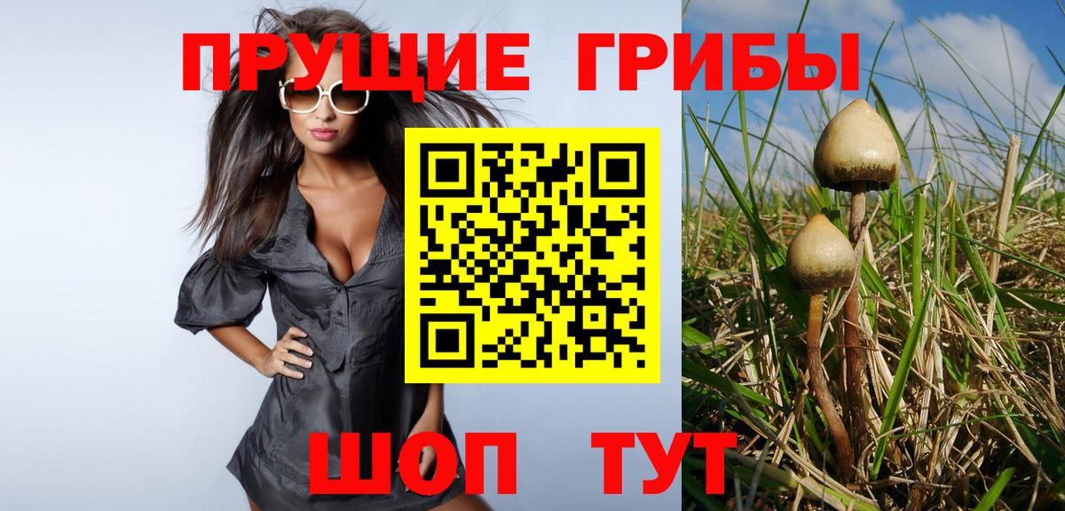 Галлюциногенные грибы Cubensis  Галлюциногенные грибы Cubensis  как найти наркотики  Вход с VPN  Рубцовск 