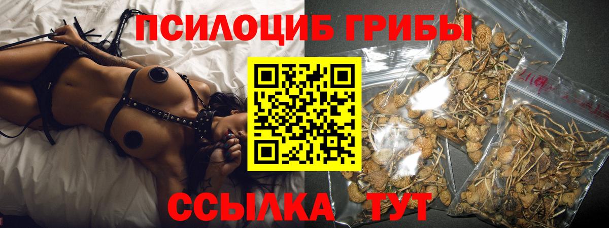Галлюциногенные грибы GOLDEN TEACHER Рубцовск